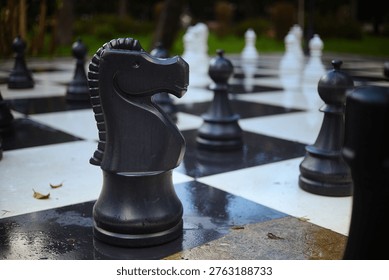 A low-angle, sharp close-up of a large black plastic chess knight standing on a wet, reflective chessboard. The knight is in clear focus, positioned on a black square, showing a matte finish and a detailed, scalloped mane. The board surface is damp with visible water droplets and reflections of the surrounding environment. In the background, several white chess pieces are scattered in a shallow depth of field, appearing as soft-focus shapes against a lush green park backdrop. The lighting is soft and diffused, characteristic of an overcast day.