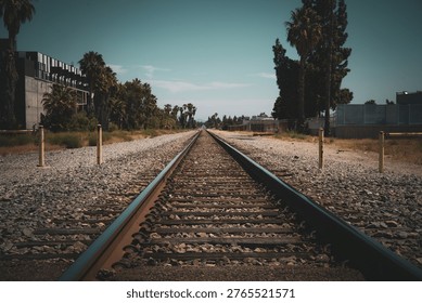 A low-angle shot captures the converging lines of a railroad track leading towards the horizon, flanked by palm trees and industrial buildings