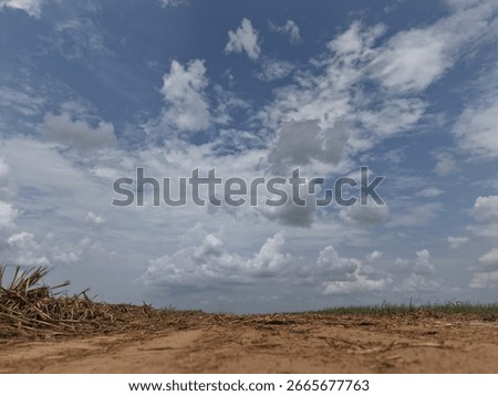 A low-angle shot captures a dirt path and dried sugarcane stalks in the foreground, with a vast rural landscape and dynamic cloudy sky. Selective focus shot.