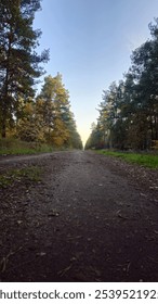 A low-angle shot down a quiet forest pathway, framed by trees with autumnal foliage. The path stretches into the distance under a clear evening sky, creating a serene, almost endless view.