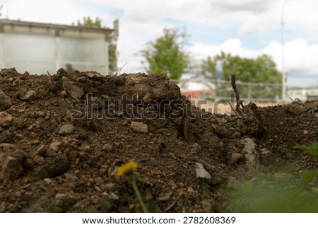 Lowangle soil foreground with softfocused cityscape in background, scattered grit and small plants creating textured foreground and gentle urban contrast