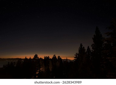 A low-angle view of a beautiful forest during the dark night