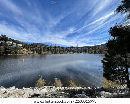 A low-angle view of a beautiful forest near Lake Arrowhead, California, USA