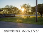 A low-angle view of beautiful trees in St  Charles, Missouri, USA