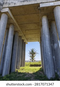 A low-angle view beneath massive concrete bridge pillars framing a single coconut palm tree under a clear blue sky.