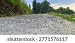 A low-angle view of a bumpy, gravelly dirt road leading into a natural environment with lush green trees and foliage.