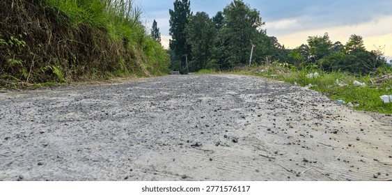 A low-angle view of a bumpy, gravelly dirt road leading into a natural environment with lush green trees and foliage.