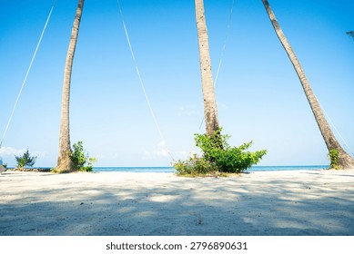 A low-angle view captures a pristine white sandy beach leading up to the strong trunks of three tall palm trees. Ropes are visible attached to the trees, suggesting a beach swing. Lush green undergrowth surrounds the bases of the trees, all set against a clear, expansive blue sky.