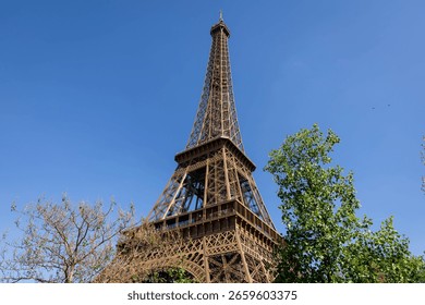Low-angle view of the Eiffel Tower against a vibrant blue sky, partially framed by lush green and bare branches.  The image evokes a feeling of Parisian charm and grandeur, 
