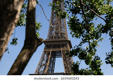 A low-angle view of the Eiffel Tower partially obscured by lush green foliage.  The image evokes a serene, summery mood, ideal for travel brochures, tourism websites, or Parisian-themed products.
