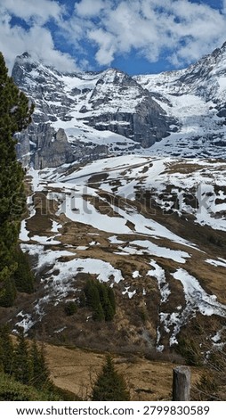 A low-angle view of a massive, imposing rocky mountain cliff face partially covered with snow, rising above a green and brown alpine meadow.
