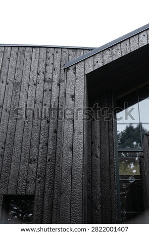 Low-angle view of a modern facade clad in black Shou Sugi Ban timber, featuring vertical charred boards, a tall reflective window, trees, and ample sky copy space