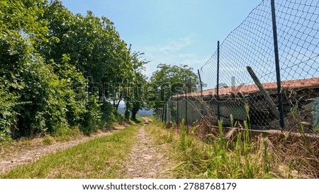 A low-angle view of a narrow dirt path between lush trees and wire fences.