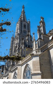 Low-angle view of the ornate Gothic tower and buttresses of Bern Minster (Berner Münster) in Bern, Switzerland, on a clear sunny day with fresh spring leaves.