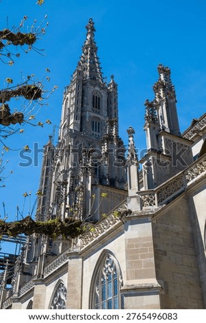Low-angle view of the ornate Gothic tower and buttresses of Bern Minster (Berner Münster) in Bern, Switzerland, on a clear sunny day with fresh spring leaves.