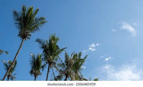 A low-angle view of palm trees reaching up towards a bright blue sky with fluffy white clouds. - Powered by Shutterstock