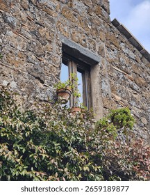 Low-Angle View of a Rustic Stone Window with Potted Plants and Ivy Vines