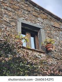Low-angle view of a rustic stone window with potted plants and ivy vines