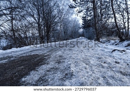 A low-angle view of a slippery, icy path winding through a forest with bare trees covered in frost and snow