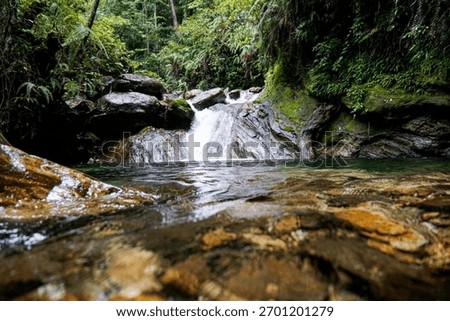 A low-angle view of a small waterfall cascading into a clear natural pool, framed by wet mossy rocks in the foreground and surrounded by dense tropical greenery