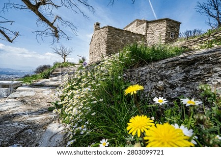 Low-angle view of spring daisies and yellow flowers beside the medieval Agii Asomati chapel on Penteli Mountain, Athens, Greece, ideal for travel, heritage, hiking, and nature themes.