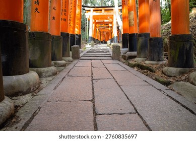 Low-angle view of a stone pathway lined with orange torii gates in a forest shrine, leading into the distance