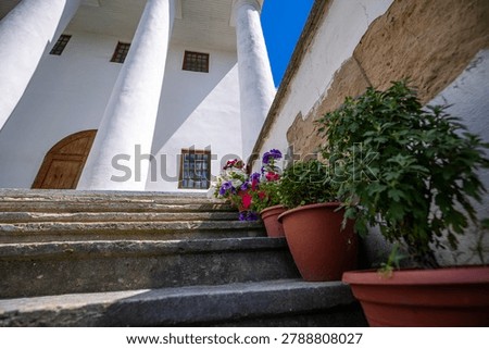 Low-angle view of stone steps leading up to a white building facade with large columns and wooden doors and windows with potted plants containing flowers lining the stairs under blue sky