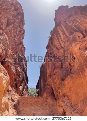 Low-angle view of towering red sandstone canyon walls in Petra, Jordan. Sunlight illuminates the narrow passage, highlighting natural rock textures, warm tones, and dramatic desert landscape formations.