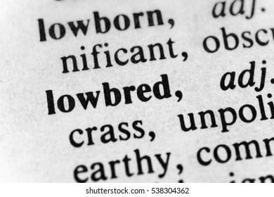 Lowbred