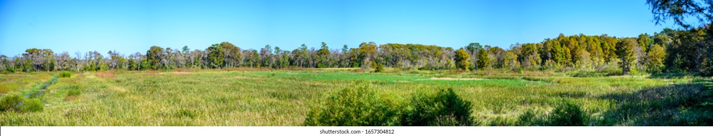 Lowcountry marsh land that was formerly slave planted rice fields in South Carolina