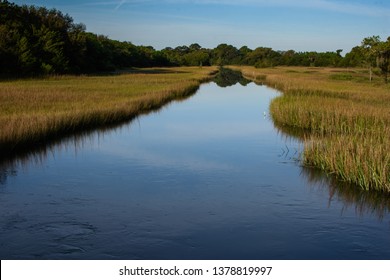 Low-country Marsh Tidal Creek  Carolina Coast 