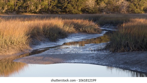 Lowcountry Salt Marsh At Low Tide