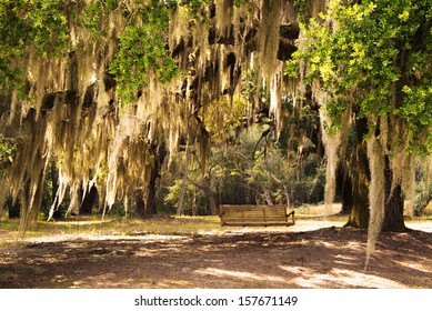 Lowcountry South Carolina Spanish Moss Drapsed Live Oak - Powered by Shutterstock