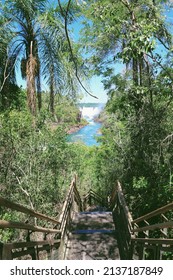 Lower Circuit Of The Iguazú National Park