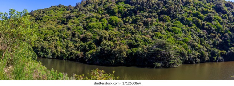 Lower Dam At Zealandia In New Zealand