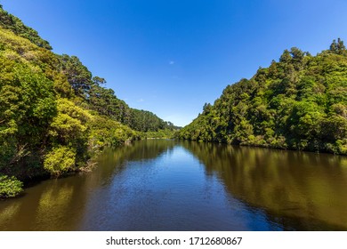 Lower Dam At Zealandia In New Zealand