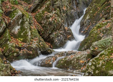 Lower Dark Hollow Falls, Shenandoah National Park, Virginia - Shutterstock ID 2121764156