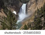 Lower Falls, Grand Canyon of the Yellowstone River, Lookout Point, North Rim, Yellowstone National Park, Wyoming, USA