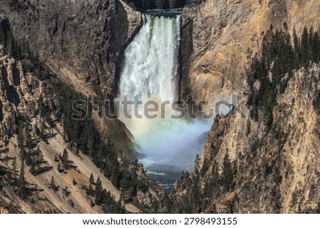 Lower Falls with Rainbow Cascading Through Grand Canyon of Yellowstone National Park