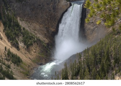 Lower Falls waterfall cascading into the Grand Canyon of the Yellowstone with the river flowing below through golden cliffs