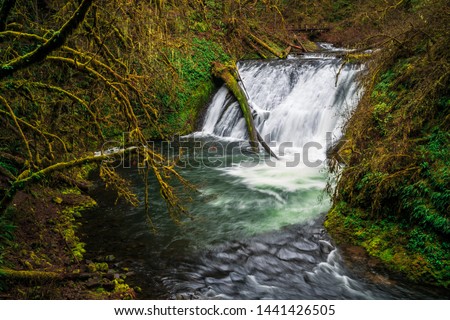 Image, Stock Photo Lower Falls in the Grand Canyon of the Yellowstone, Wyoming, USA