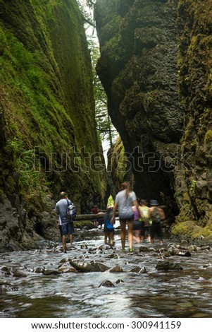 Lower Oneonta falls in Columbia River Gorge, Oregon.