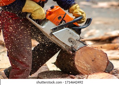 Lower Part Of Man Cutting A Log With Chainsaw