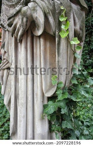 Lower part of old stone marble statue, memorial monument researcher man in robe, covered   green overgrown sprout vine ivy. Krakow Jagiellonian  University picturesque Proffesors'courtyard garden. 