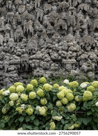 Lower Section Of Grotesque Stalactite Wall Above Flowerbed With Hydrangeas, Prague, Czech Republic.