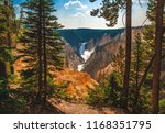 Lower Yellowstone Falls in the distance pour into the Grand Canyon of the Yellowstone in Yellowstone National Park, Wyoming, USA.