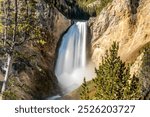 The Lower Yellowstone Falls  in the Yellowstone National Park, USA