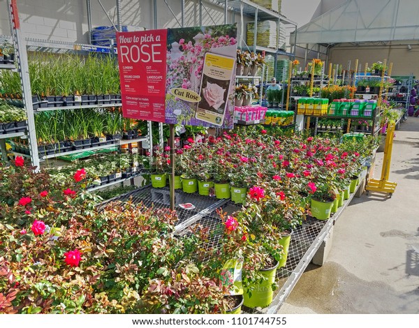 Lowes Home Improvement Store Lawn Garden Stock Photo Edit Now