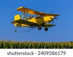 Low-flying crop duster combats pests, safeguarding fields with precision chemical spraying for insect control, ensuring healthy crop yields.