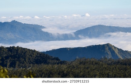 Low-lying clouds drift through layered forested mountains in Nuwara Eliya, Sri Lanka